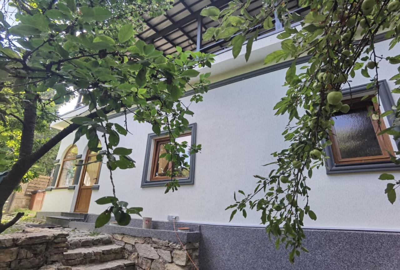 ホテル Vila Zia コルベニ エクステリア 写真
